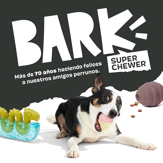 Foto 8 de 8 de Barkbox Bark Collection Super Chewer Rubber Rabbit Dog Toy - Hare Raiser