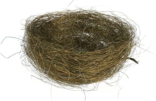 NOLITOY 3 piezas de decoraciĂłn para el hogar para Salas de Casa, adorno de fotos, mini cacatĂşa, casa de aves artificiales, nidos de pollitos de NOLITOY 3 piezas de decoraciĂłn para el hogar para Salas de Casa, adorno de fotos, mini cacatĂşa, casa de aves artificiales, nidos de pollitos de