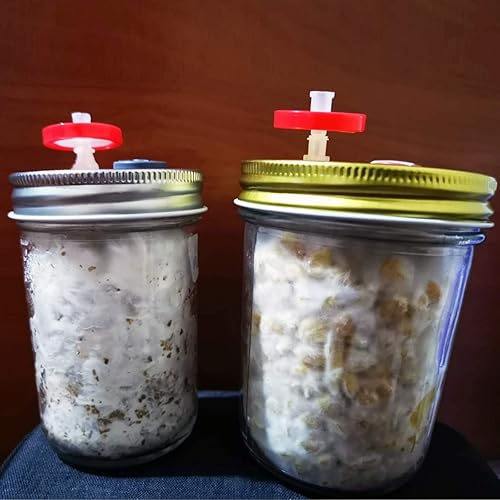 Miniatura 3 de Ks-Tek 6 tapas de cultivo líquido de hongos de boca ancha (plateado) Tapa de tarro de cultivo de grano con filtro de jeringa de PTFE de 0.2 micras y