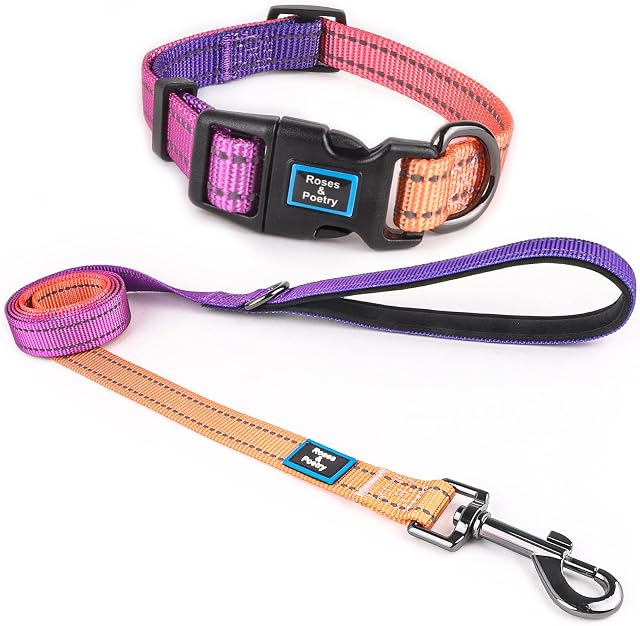 Roses&Poetry Reflective Dog Collar and Lead With Gradient Mistyrose,Adjustable Durable Puppy Collars Leash for Extra Small Dogs Mistyrose-XS)
