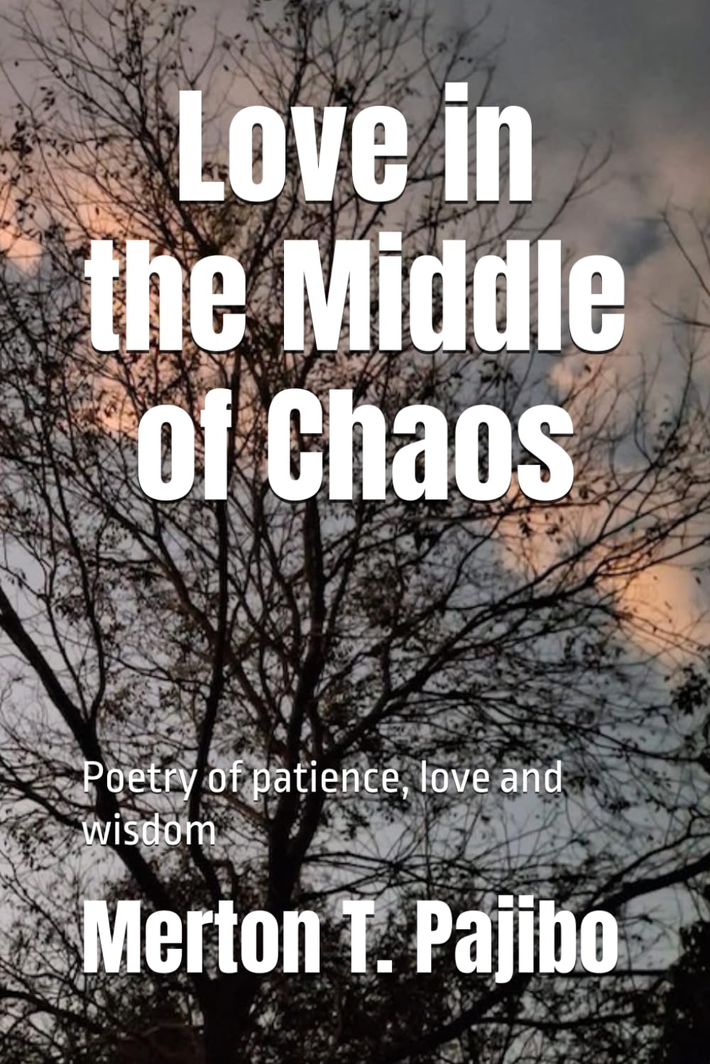 Love in the Middle of Chaos: Poetry of patience, love and wisdom