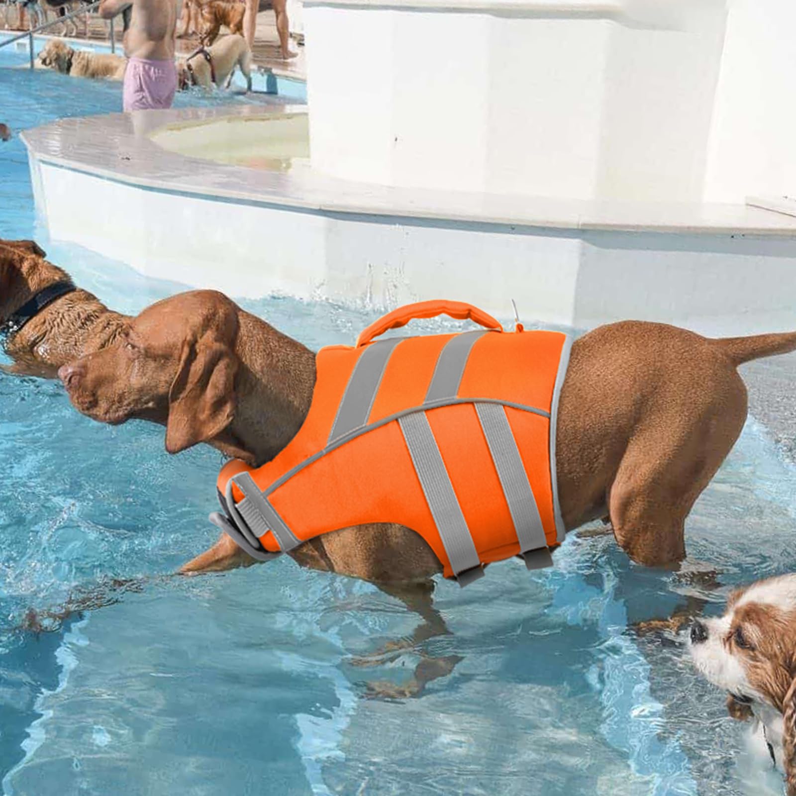Kuoser Chaleco salvavidas para perros, chaleco salvavidas para perros de durabilidad, excelente flotabilidad, chaleco salvavidas para perros pequeños, grandes, mediano, de alta seguridad, chaleco