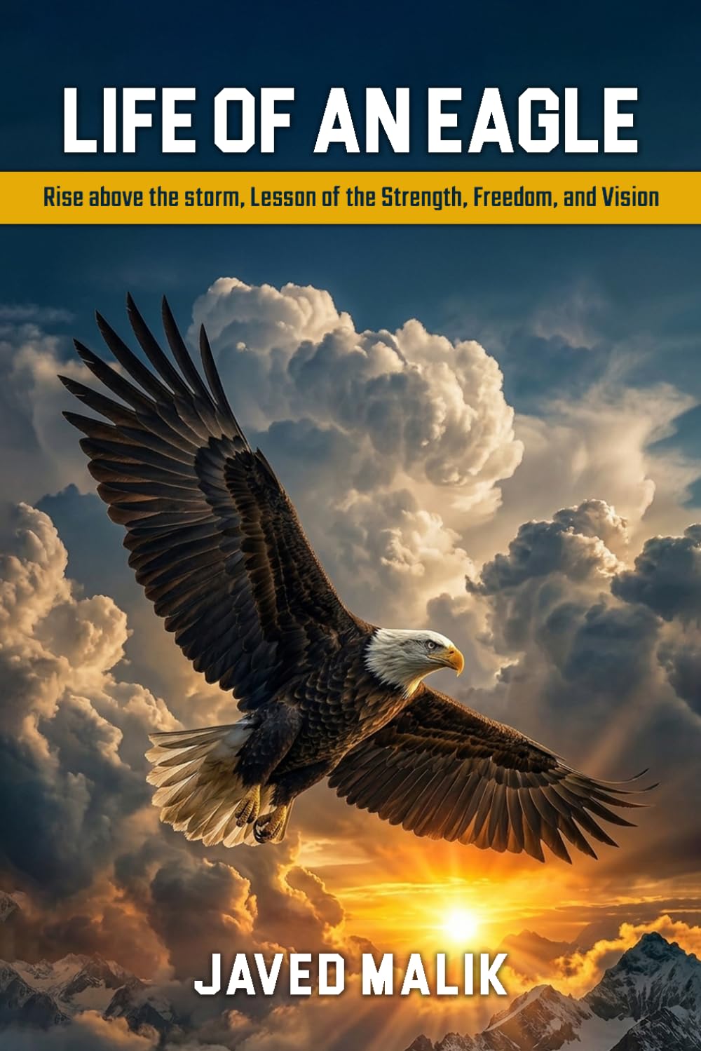 LIFE OF AN EAGLE: Rise Above The Storm, Lesson Of The Strength, Freedom and Vision