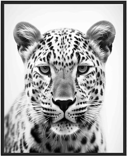 Leopard Art Prints Posters, Black and White Animal Photography Wall Art, Wildlif