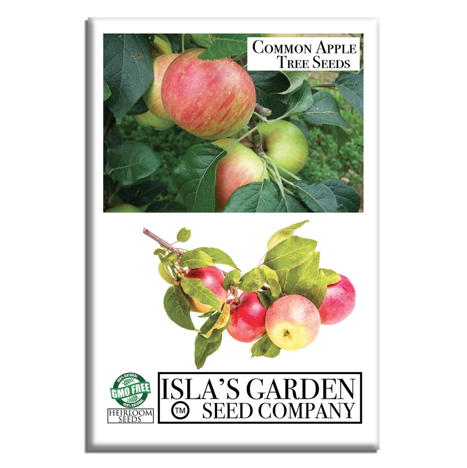 Amazon.com : Common Apple Tree Seeds for Planting - 15+ Tree Seeds Per  Packet, Packet, (Isla's Garden Seeds), Delicious Malus pumila, 70-90%  Germination in Good Conditions, Great Garden Gift : Patio, Lawn & Garden