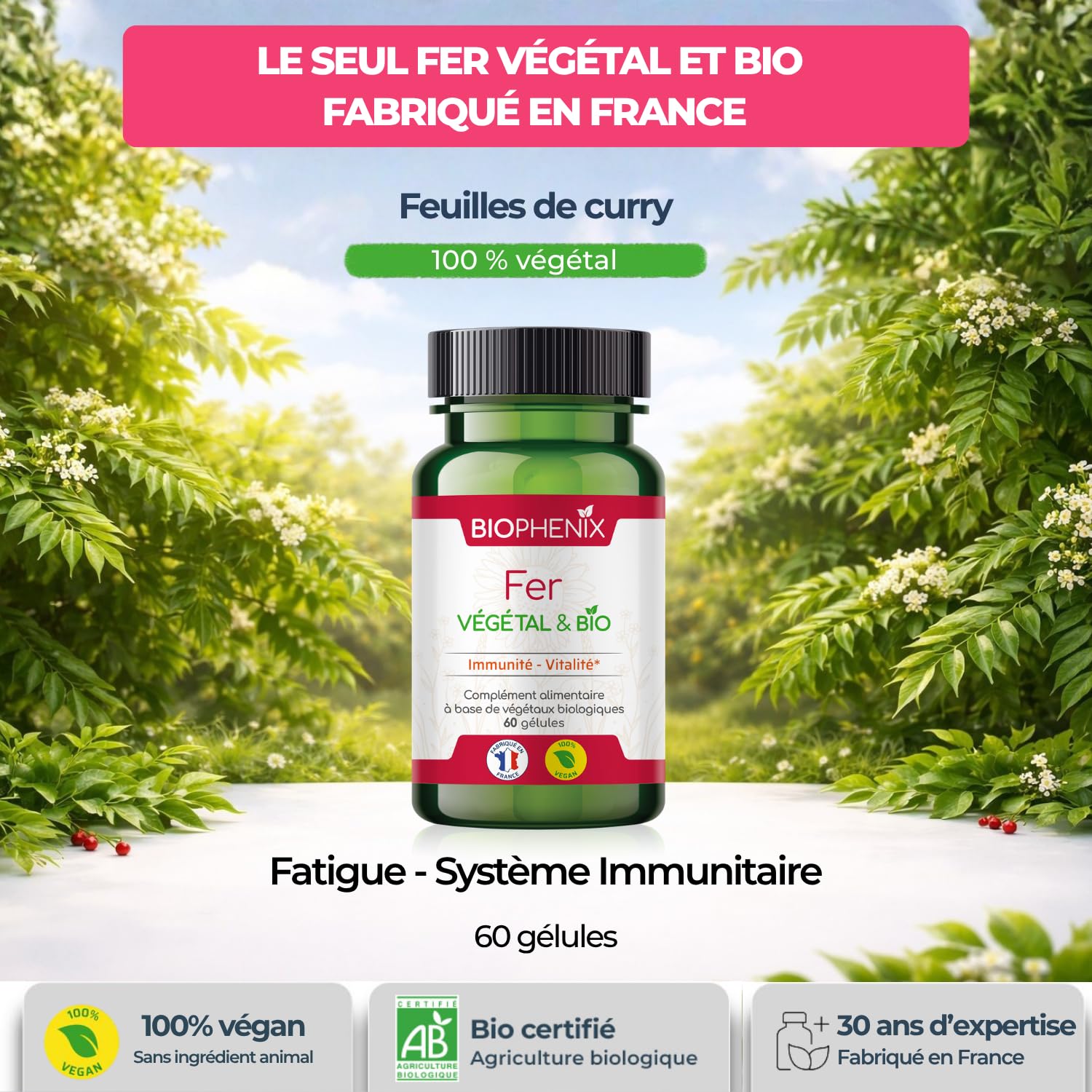 Biophénix Fer BIO 60 Gélules - Complément Alimentaire - 100% Naturel à Base de Végétaux - Contribue à la Réduction de la Fatigue - Fabriqué en France - 1 Gélule/Jours