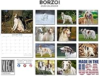 Vista 769 de Razas de Perros 2017