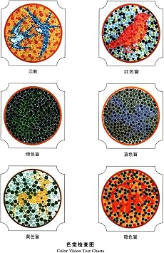 Stereo Vision Comprehensive Test Card, Binocular Stereo Vision Test Chart Book, Used for Amblyopia Three-Level Visual Function Color Vision Test
