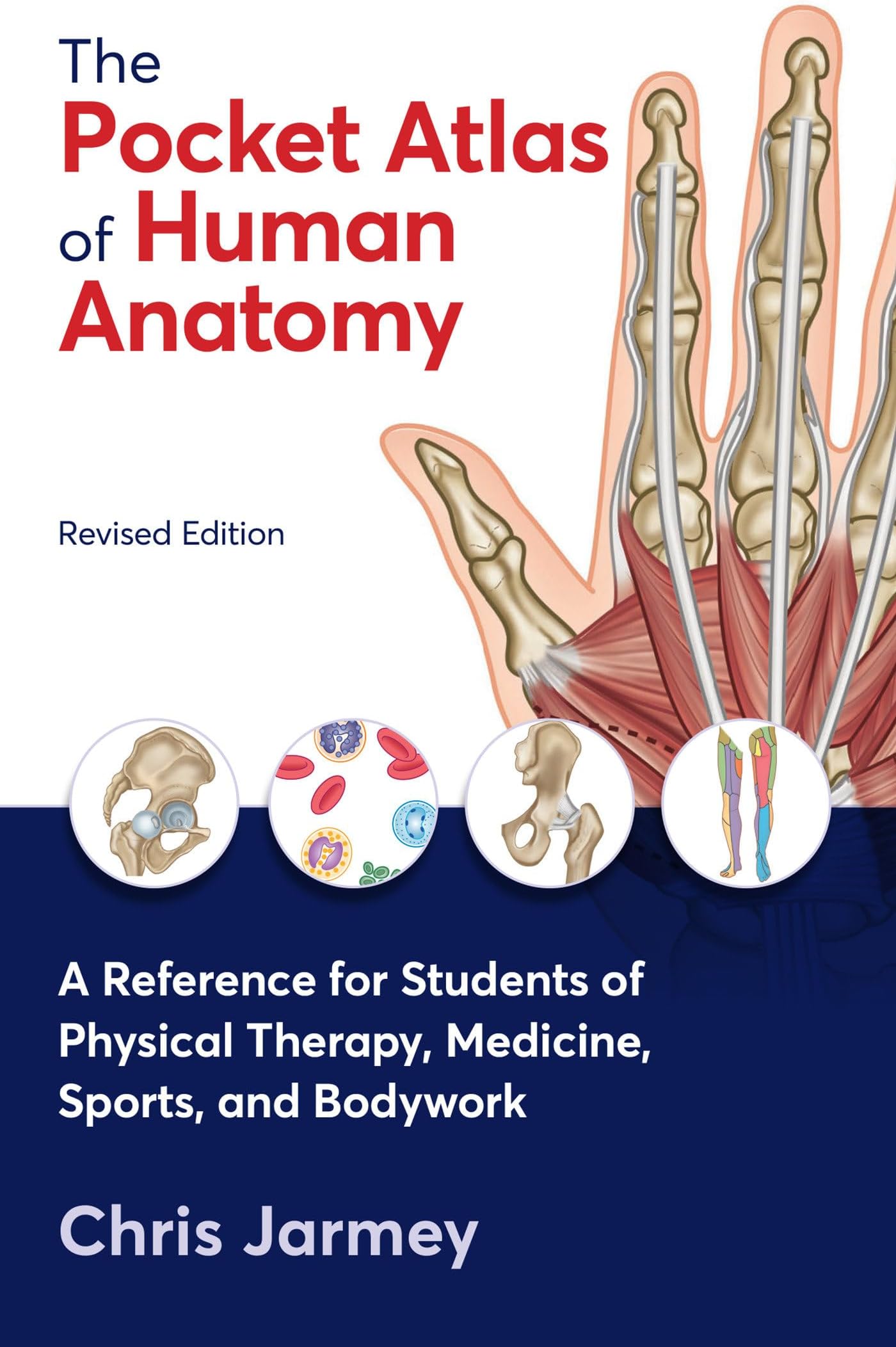 The Pocket Atlas of Human Anatomy, Revised Edition: A Reference for Students of Physical Therapy, Medicine, Sports, and Bodywork