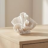 Resin Coral Decorative Sculpture – Coastal Figurine Accent for Bookshelf Styling, Coffee Tables, or Shelves – Artistic Home Decor Object for Living Room or Office Display – 5.5