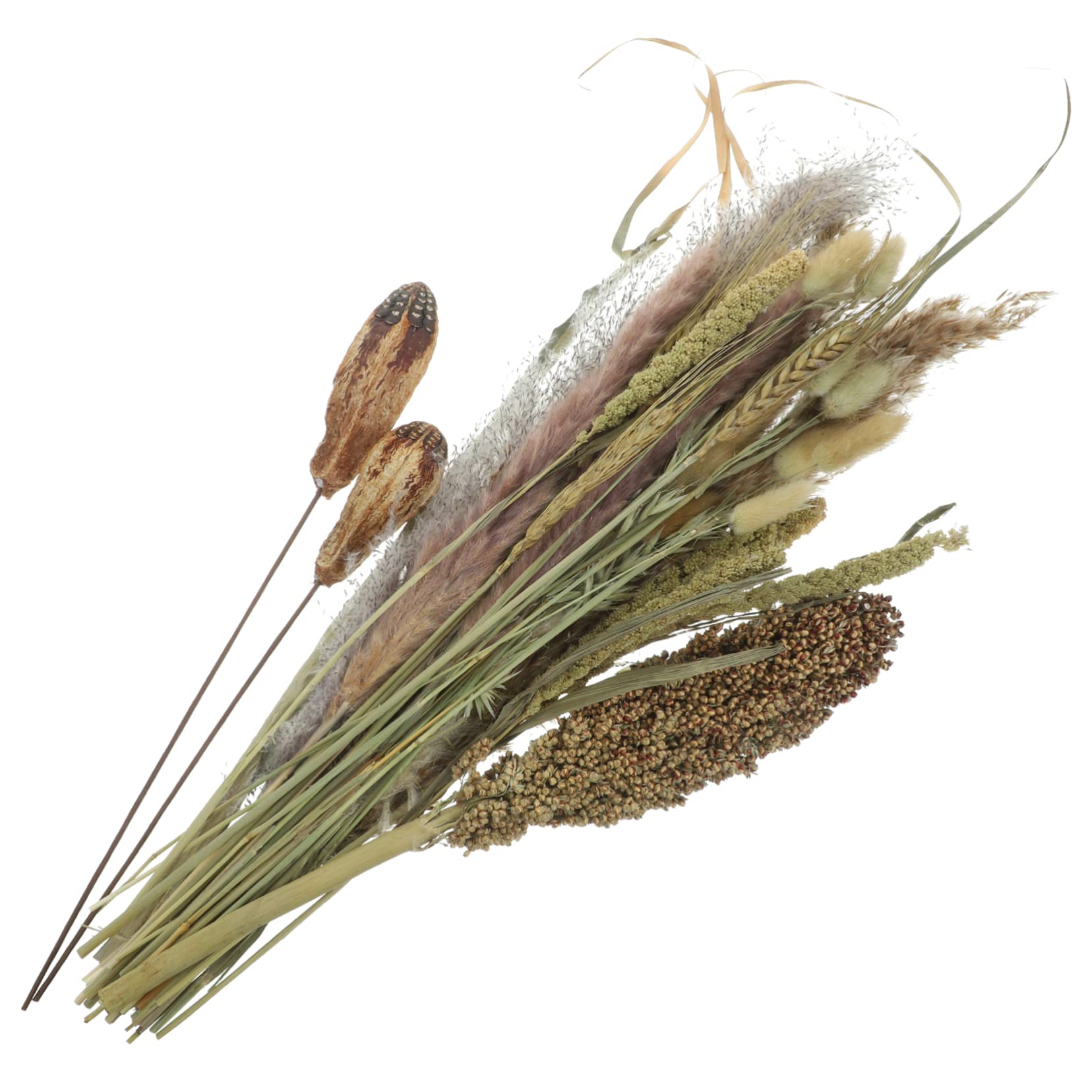 ULTECHNOVO 2stücke Deko-pflanzenstrauß Getrockneten Pampas Und Naturbelassenen Pflanzen Für Boho-Dekoration Hochzeiten Und Kreative Arrangements Bundle