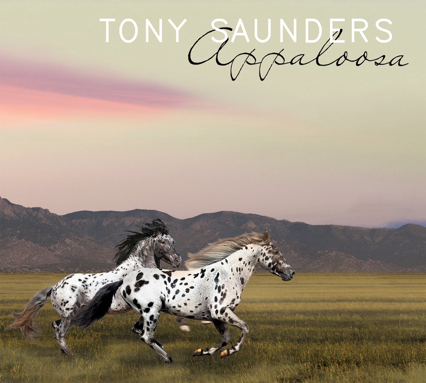 Appaloosa [Audio CD] Tony Saunders; Mariah Carey; Jermaine Dupri; Sylvester Burks; Rod Temperton; Katrina Watts-McFarland; Kenneth Edmonds; Gino Vanelli; Bobby Womack; Patrick Moten; Johnta Austin; Dante "Taz" Roberson; Darian Grey; Melecio Magdaluyo; Derrick Hughes; Juan Escovedo; Bill Champlin; Bill Hampton; Lawrence Matthews; Barry Finnerty; Fred Ross; Angelo Luster; Rock Hendricks; Allen Leong; Howard Hewett; Hanne Andersen; Carolyn Keyes; Tim Landis; Jeff Pevar; Tony Lindsay and Tom Politzer