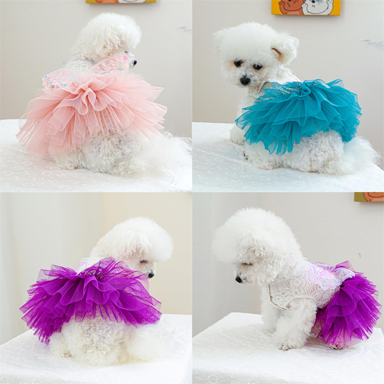 chinese dress ladies Parisian Pet Gingham Countryside Lace Dog Dress - Blue main image 1