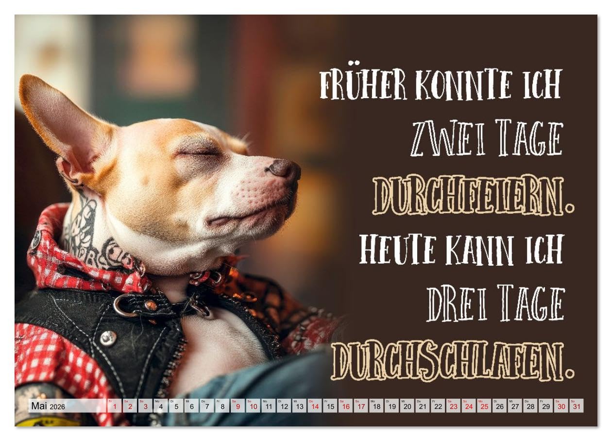 Wuffige Geburtstagsgrüße SPRÜCHE ZUM ÄLTERWERDEN (hochwertiger Premium Wandkalender 2026 DIN A2 quer), Kunstdruck in Hochglanz: Lächle, solange du noch Zähne hast (CALVENDO Spass)