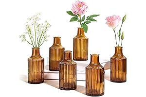 Mesmerizing Amber Bud Vases: Enhancing Spaces with Elegance