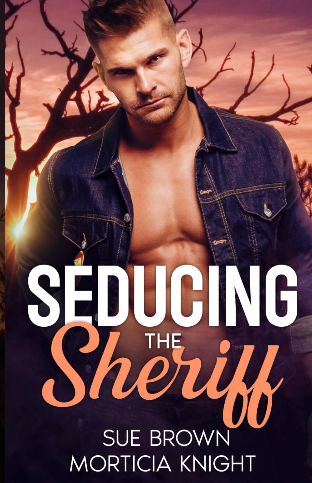 Seducing the Sheriff: An MM Small Town Romance (Charming Butte)
