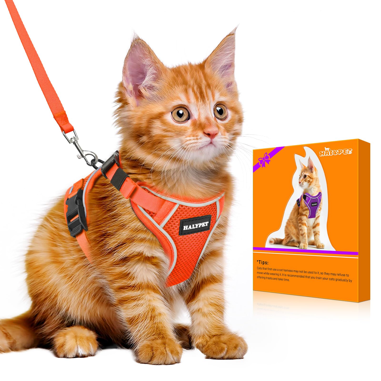 Halypet Cat Harness and Leash Set [MAX Safety 4th-Gen Upgrade] Escape Proof Adjustable Cat Leash Comfortable Soft Vest Easy to Wear Kitten Harness