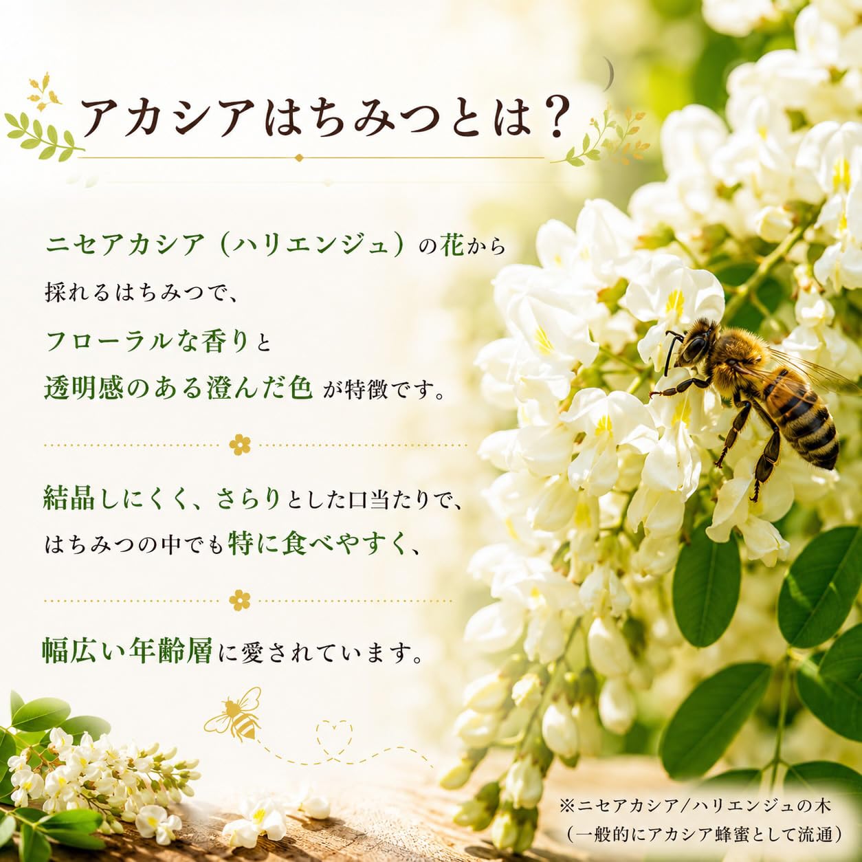 Amazon | BeeWorks 純粋アカシア蜂蜜 1000g(瓶) | BeeWorks | はちみつ