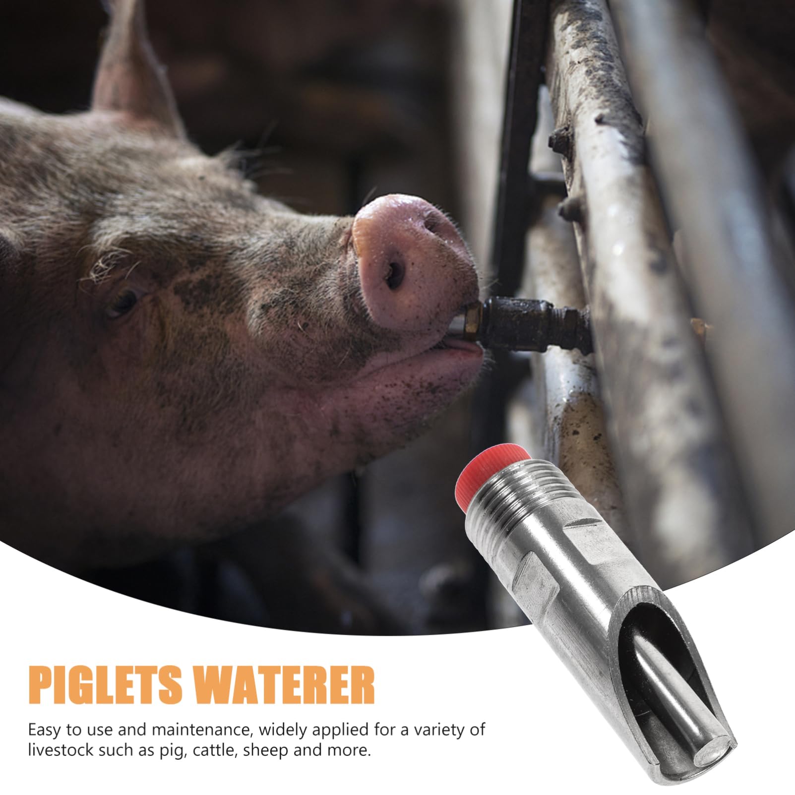 Abbeveratoio per Maiali Automatico 10 Pezzi in Metallo Inossidabile , Dispenser Acqua Antisperdimento per Allevamento Bestiame