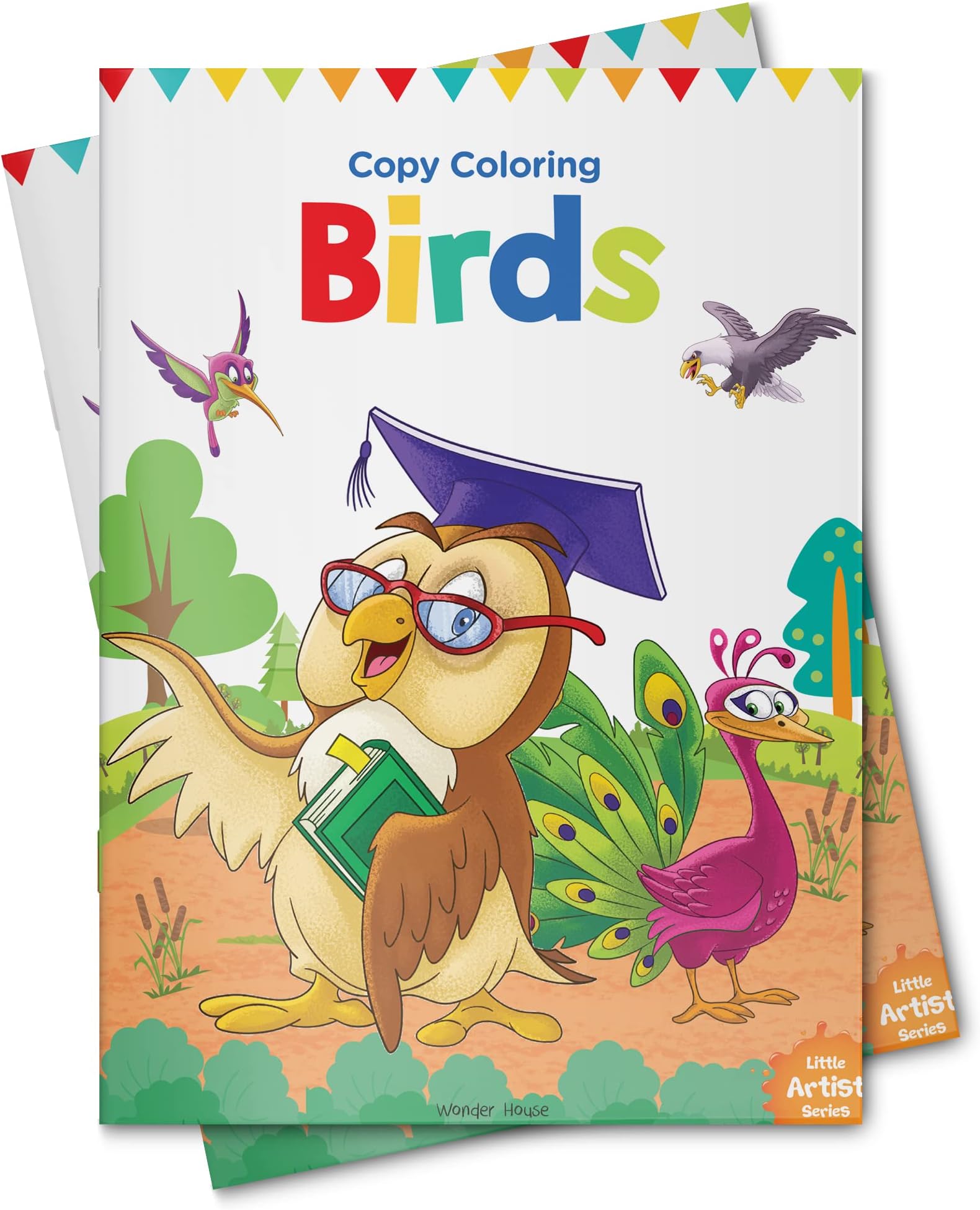 Wonder House Books Little Artist Series Birds : Copy Colour