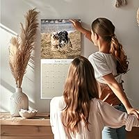 Vista 1448 de Razas de Perros 2017