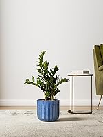 Vista 4 de LE TAUCI Juego de 3 macetas de cerámica estriada de 8.3/7/5.7 pulgadas de cilindro reactivo azul océano con tapón de drenaje y malla, macetas