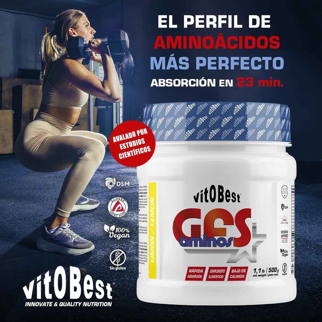 VITOBEST | GFS Aminos en Polvo | Contribuye a acelerar la síntesis proteica corporal | Apto para personas celíacas | Sabor Melón - 500 g