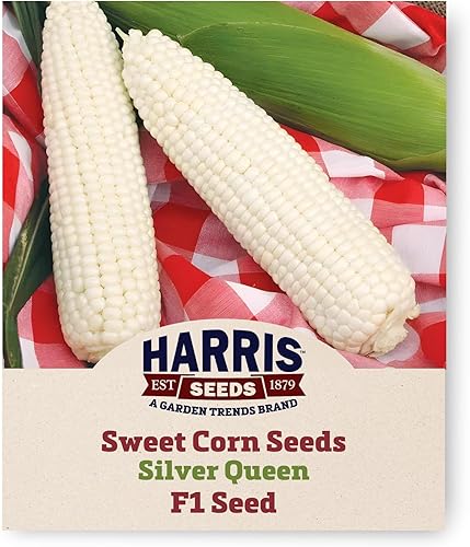 Garden Trends - Semillas de maíz dulces - Variedad Silver Queen - Tratadas en crucero - Vegetal de primera calidad sin OMG para plantar al aire