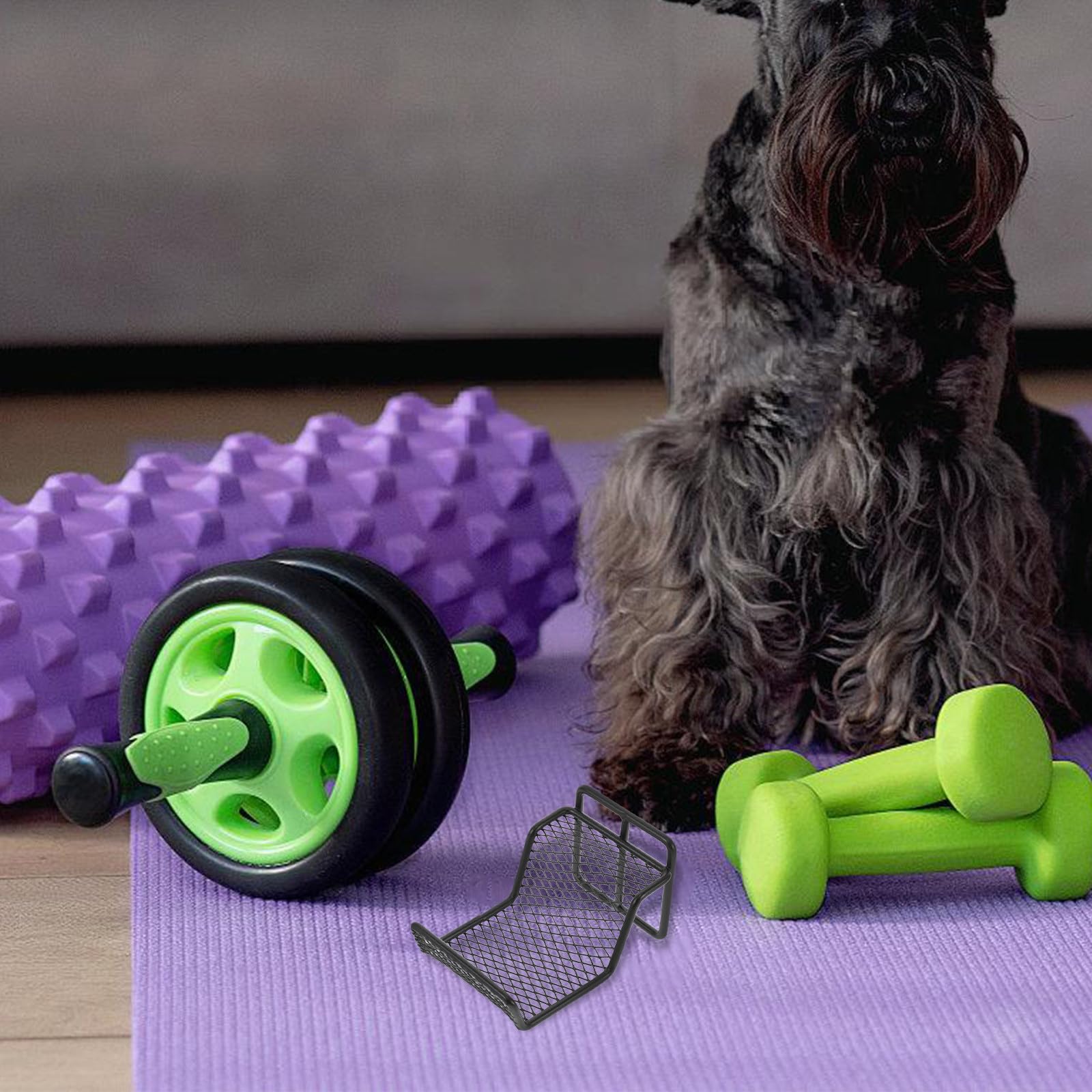 Oszczędność miejsca stojak na hantle do domowej siłowni – uchwyt na ciężarki ze stali węglowej, bezpieczne rozwiązanie do przechowywania hantli i sprzętu fitness