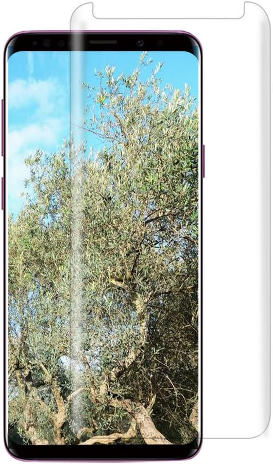 Japanese Bukuro Money Envelope - Set of Two (2), Wedding, All-occasion, Pen Included