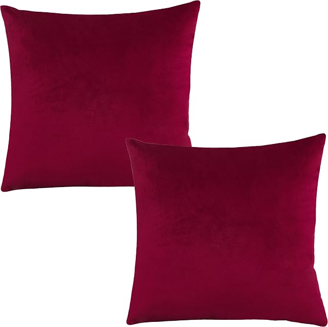 Tennove Cushion Covers 50x50cm Soft Solid Velvet Throw Pillow Covers Pack of 2 Decorative Pillowcases Square Cushion Cases Protectors for Sofa Bed Couch Bench, Wine Red