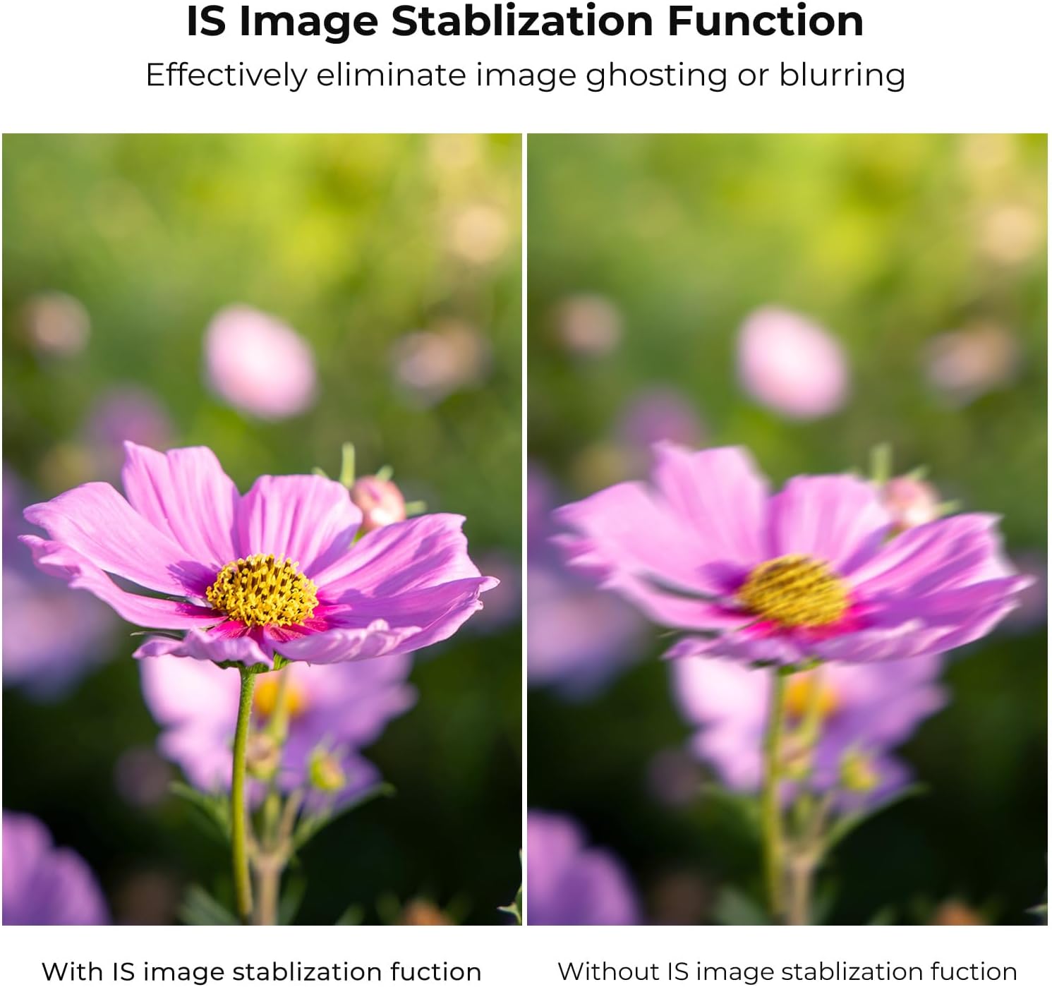 K&F Concept EF to EOS M Adapter, Auto Focus Lens Mount Adapter for Canon EF EF-S Lens and Canon EOS M Mount Cameras