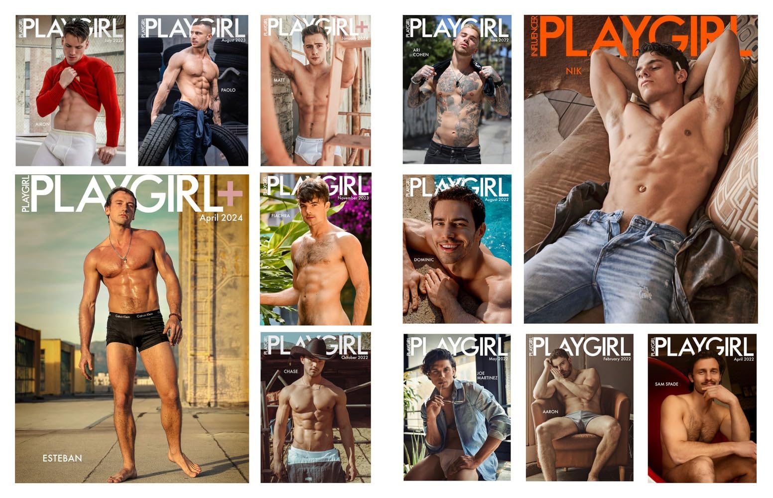 Playgirl: The Official History of a Cult Magazine: The Official History of a Cult Magazine