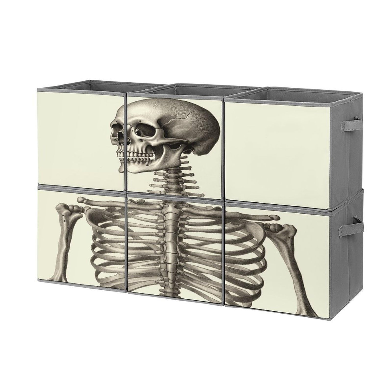 Btcowzrv Style Human Skeleton Storage Cubes, 6 Pack Oxford Fabric Foldable Collapsible Bins With Handles, Cubby Storage Baskets Boxes For Closet Shelves Office Organization