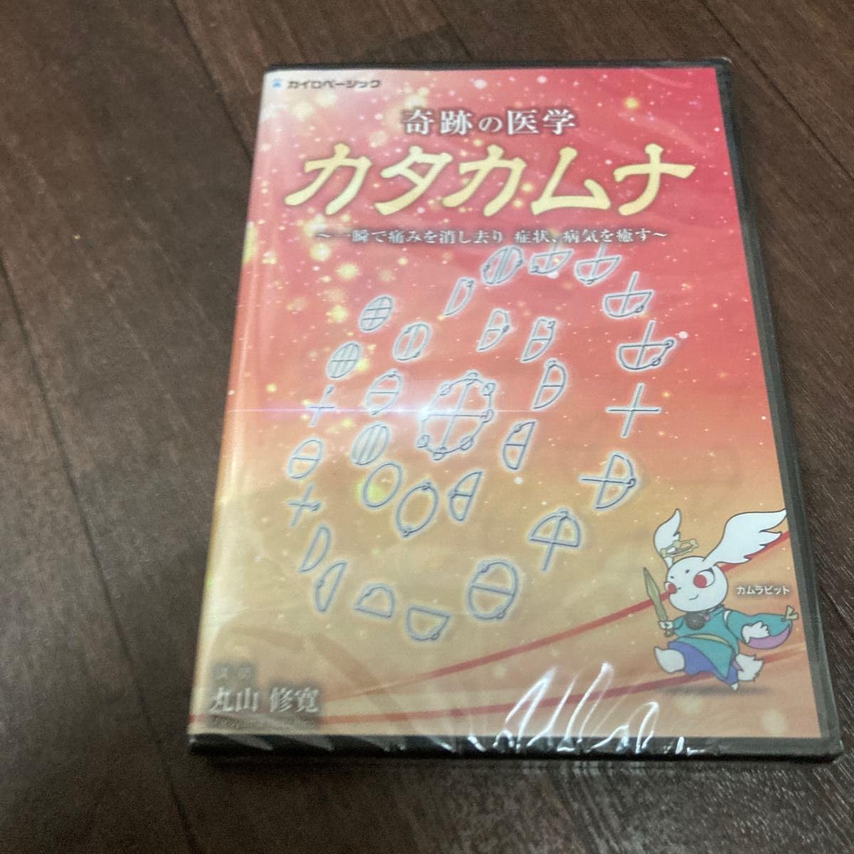 治療家のためのクスリ絵セミナーDVD 丸山修寛 【公式通販】