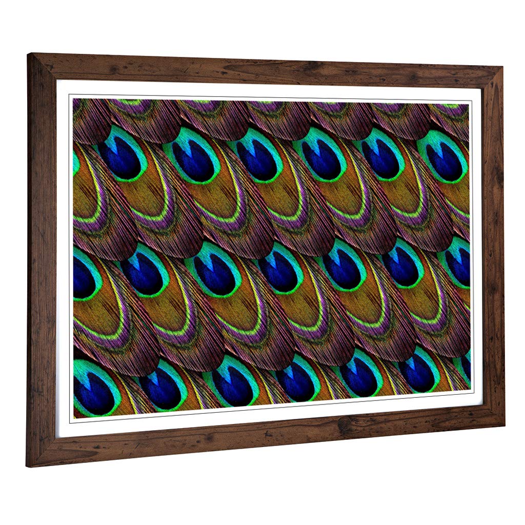 Big Box Art Framed Print of Peacock Feathers (2) Design | Wall Art Picture | Home Decor for Kitchen, Living, Dining Room, Lounge, Bedroom, Hallway, Office, Walnut, A2 / 24.5x18 Inch / 62x45cm