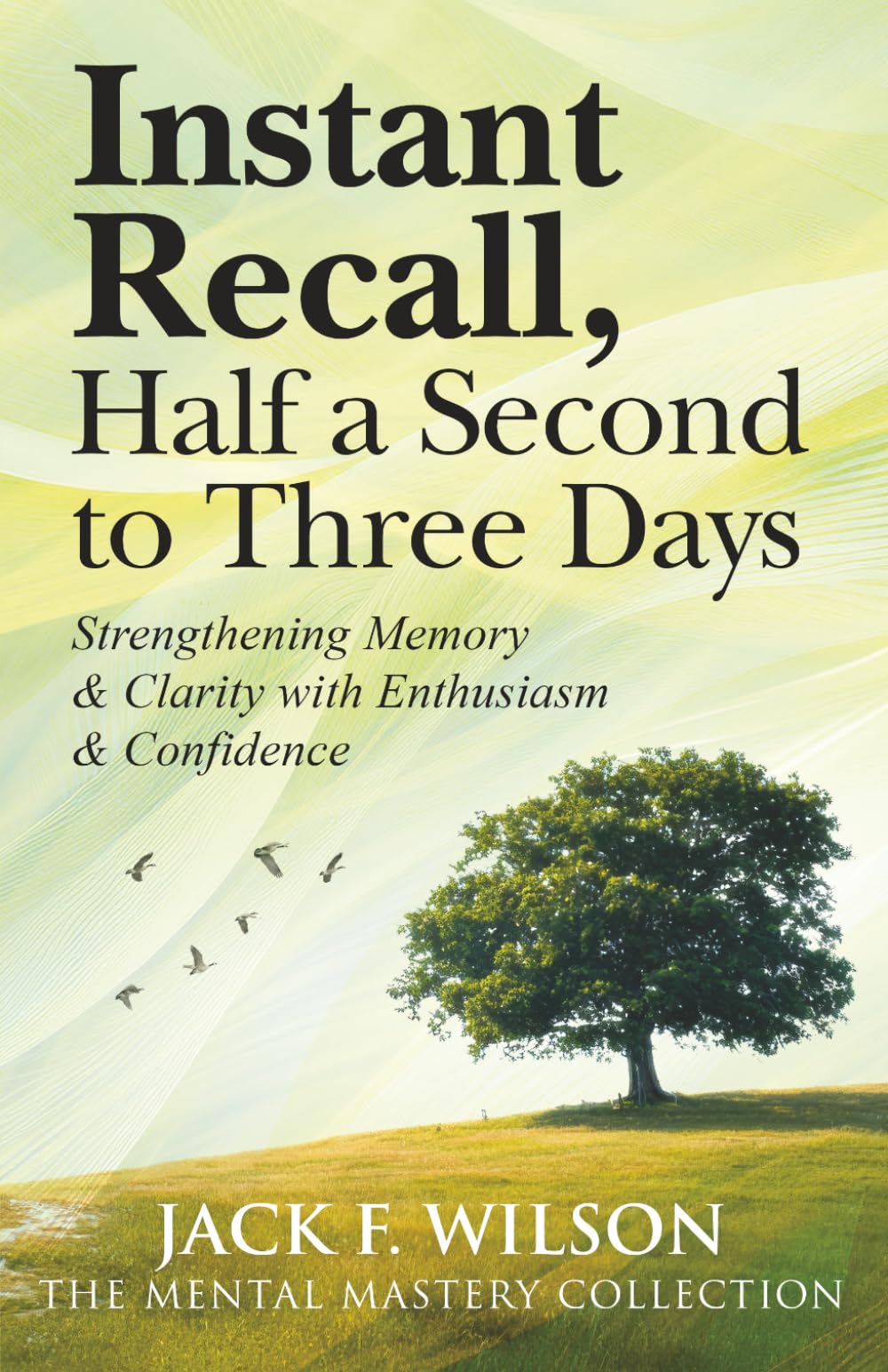Instant Recall, Half a Second to Three Days.: Strengthening Memory & Clarity with Enthusiasm & Confidence