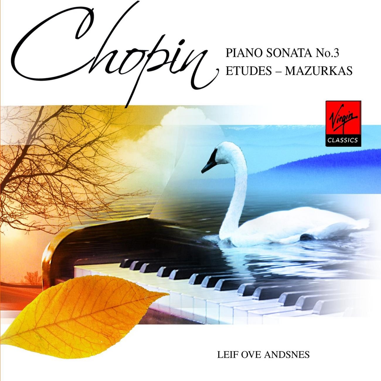 Chopin: Piano Sonata No 3, Etudes & Mazurkas