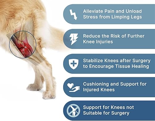 Miniatura 2 de Rodillera para perro ACL, envoltura de apoyo para piernas caninas, color negro (M)