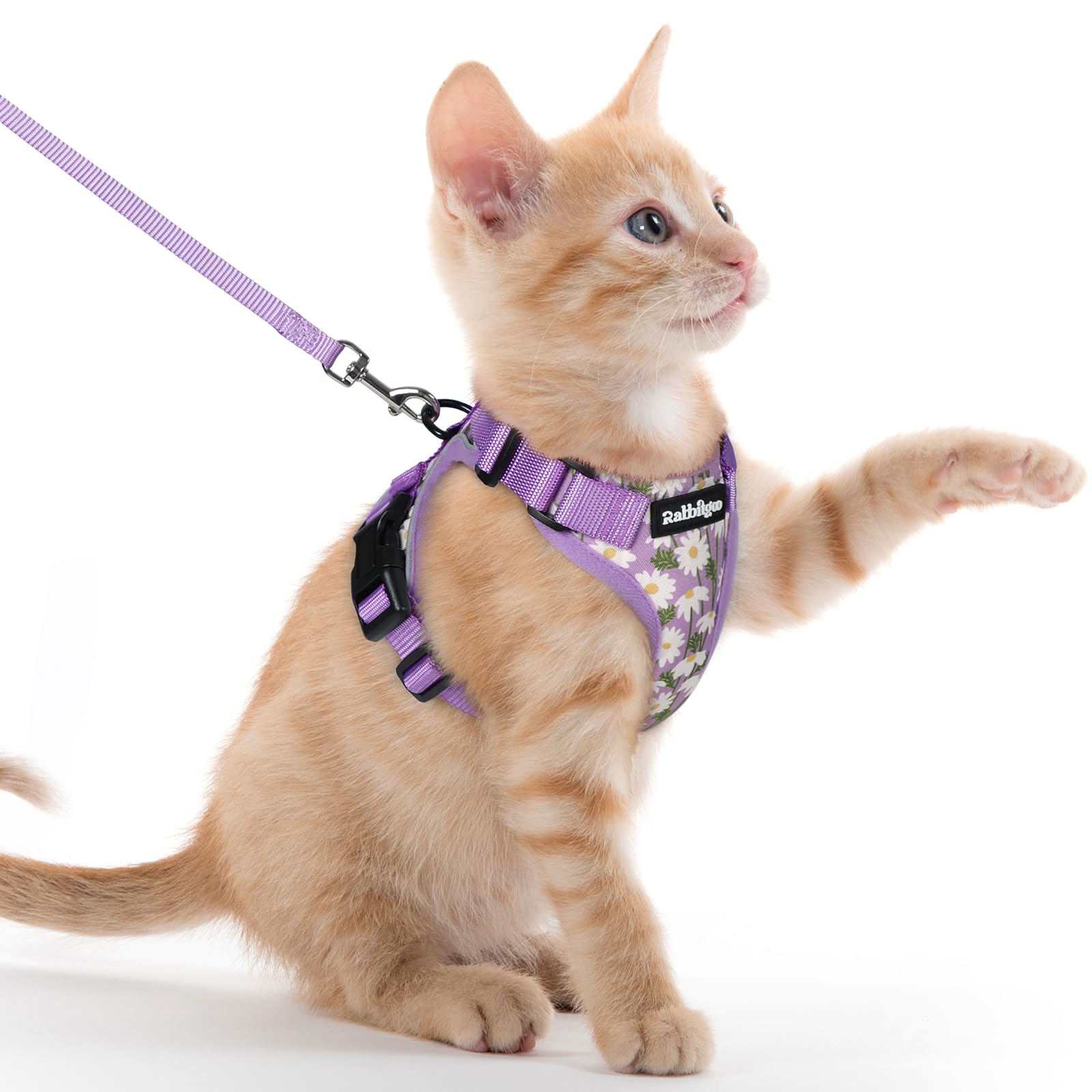 rabbitgoo Cat Harness and Leash Set, Escape Proof Vest, Purr-ple Daisy