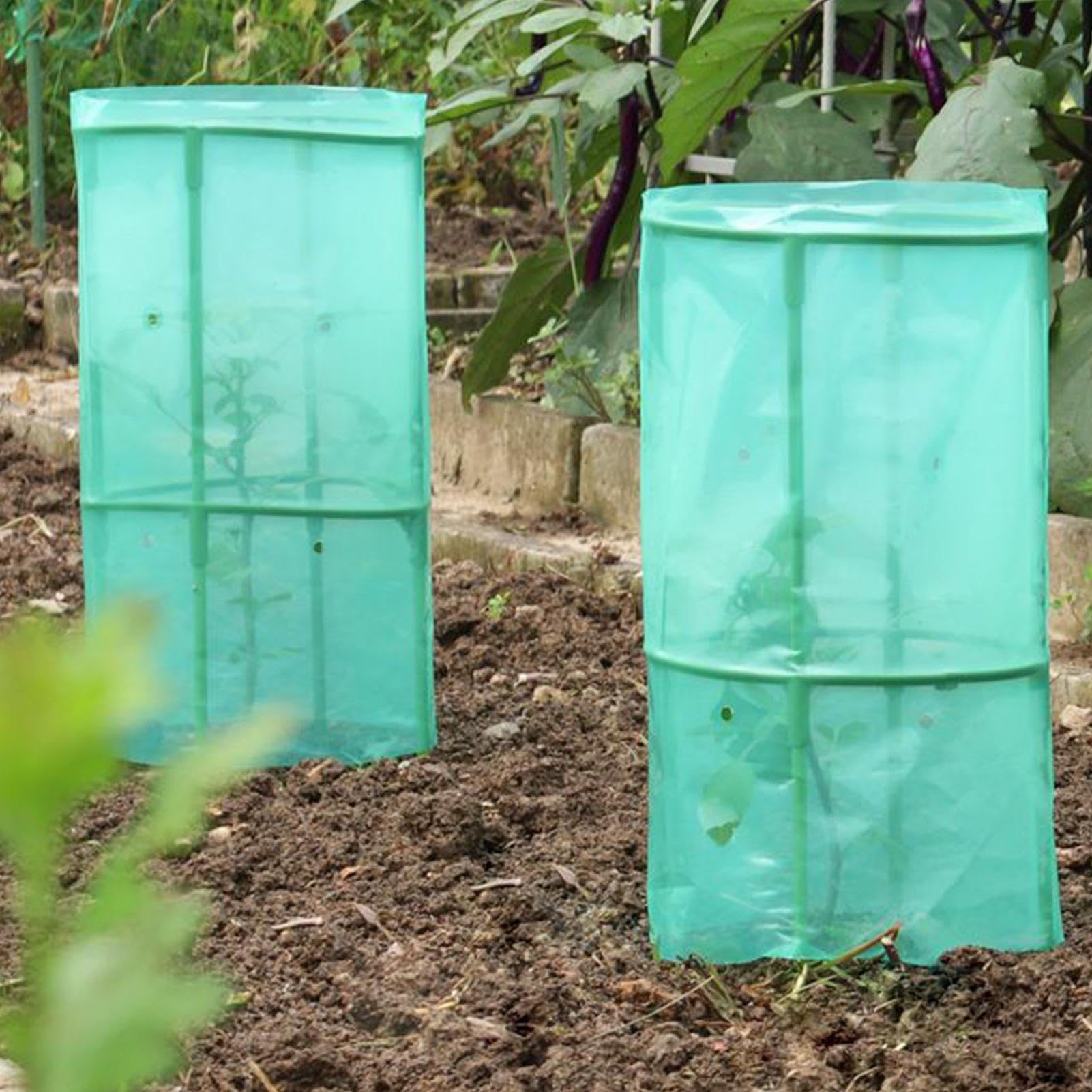 Cloches De Jardin Protection Contre Les Animaux Et Le Gel