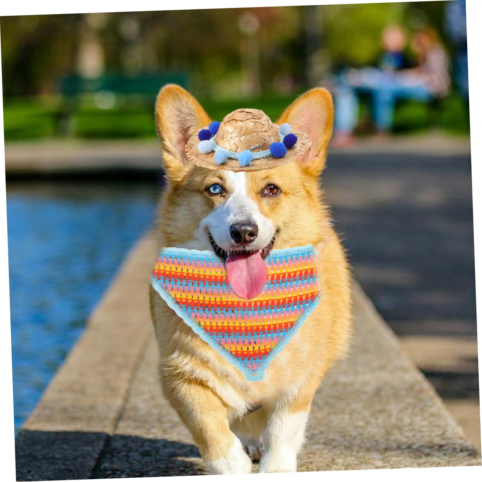 Toyvian 1ensemble Chapeau pour Chien avec Bandana De Costume pour Animaux De Compagnie Accessoire Photographique pour Sorties Et avec Pompon