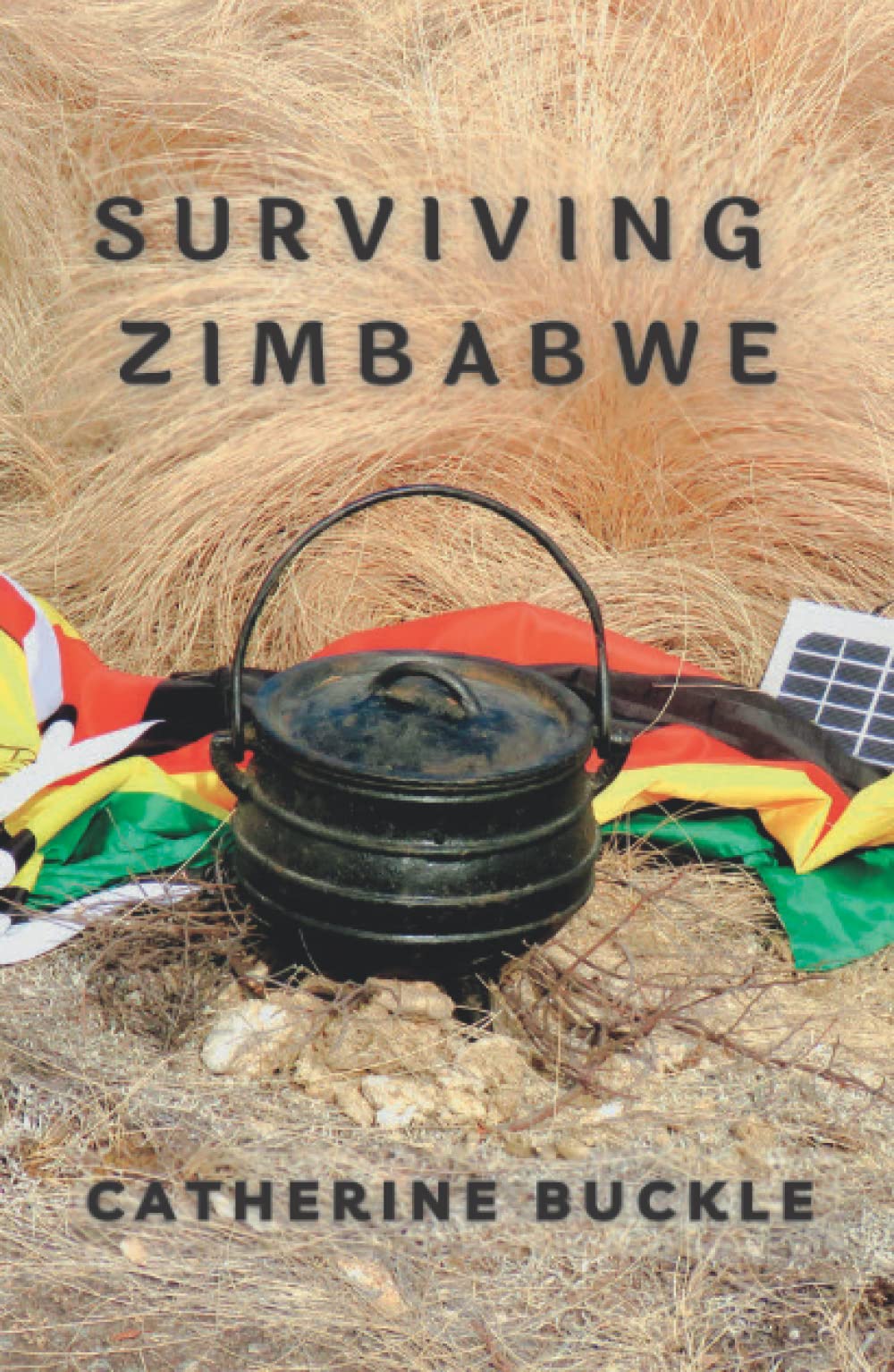 Surviving Zimbabwe (Life During Political Crises in Zimbabwe)