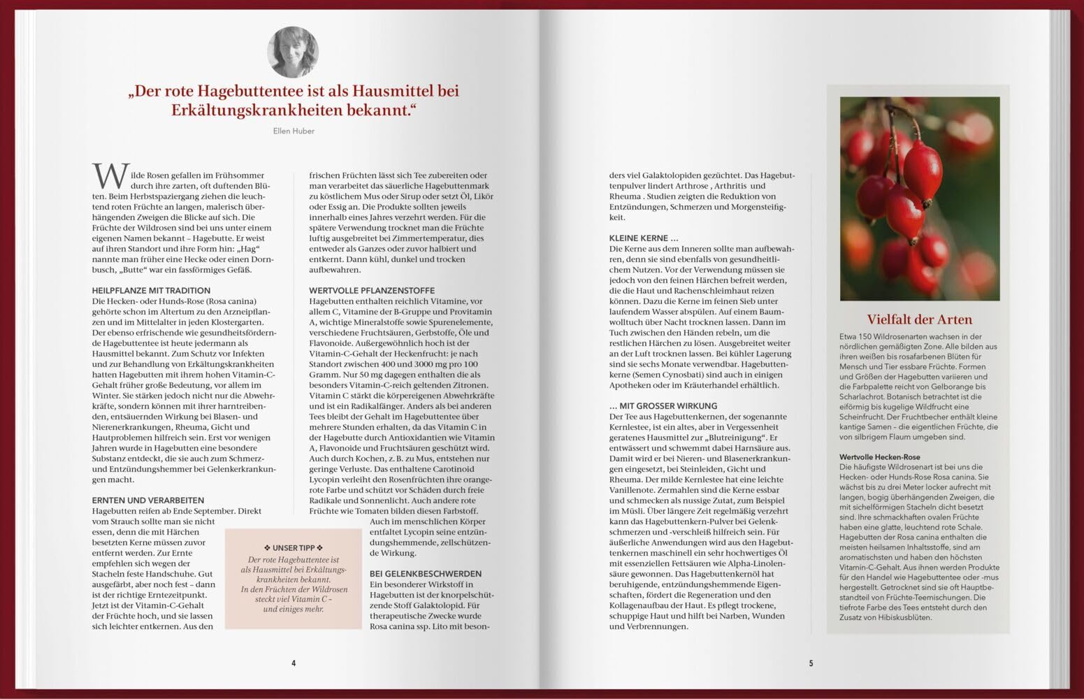Landlust Naturapotheke: Naturrezepte für Gesundheit und Wohlbefinden – Herbst und Winter. Mit den Heilkräften der Natur gestärkt durch die kalte Jahreszeit. Tipps zu Heilpflanzen und ihrer Anwendung.