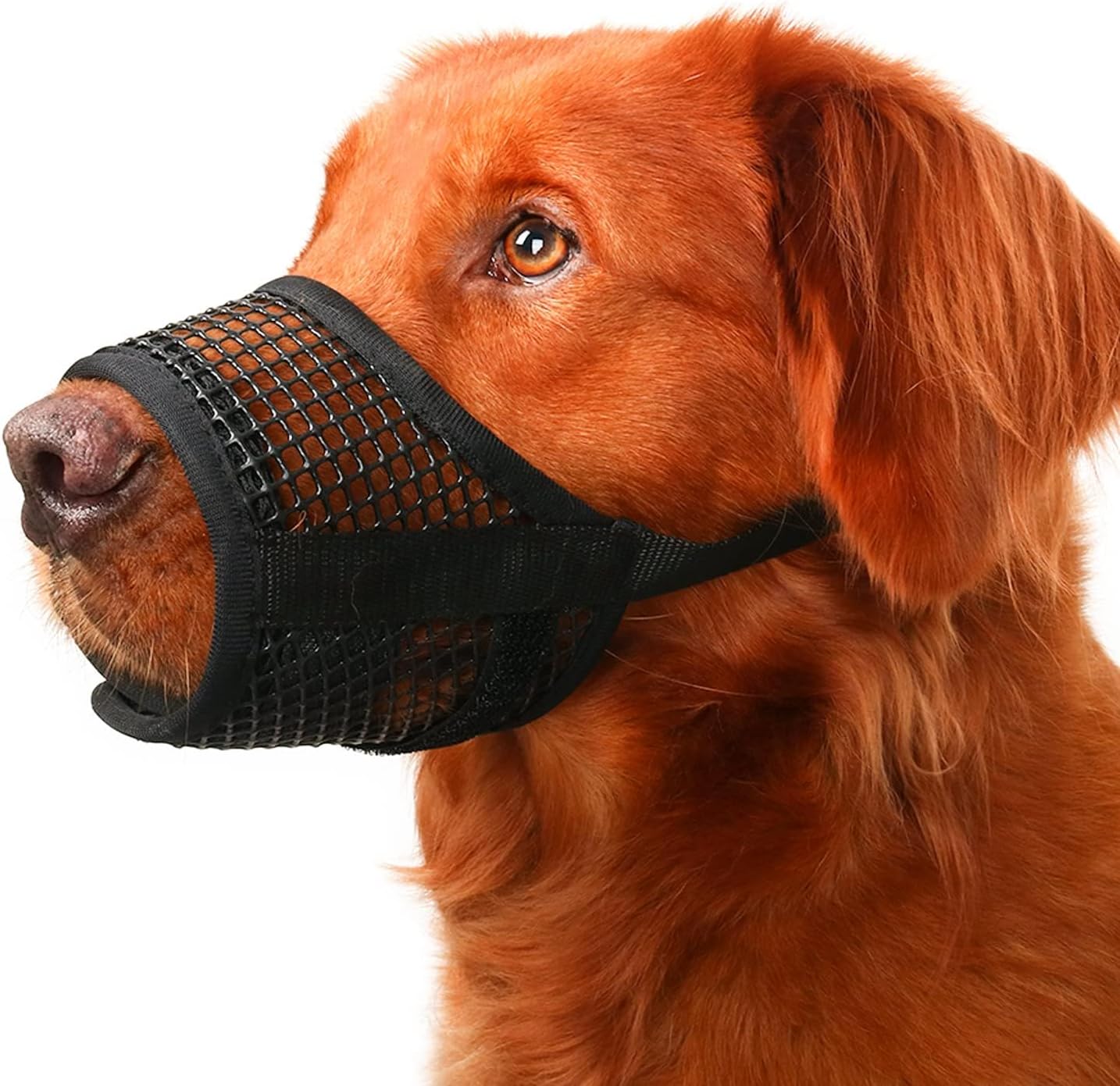 Mayerzon Dog Muzzle, Breathable Mesh Muzzles for Small