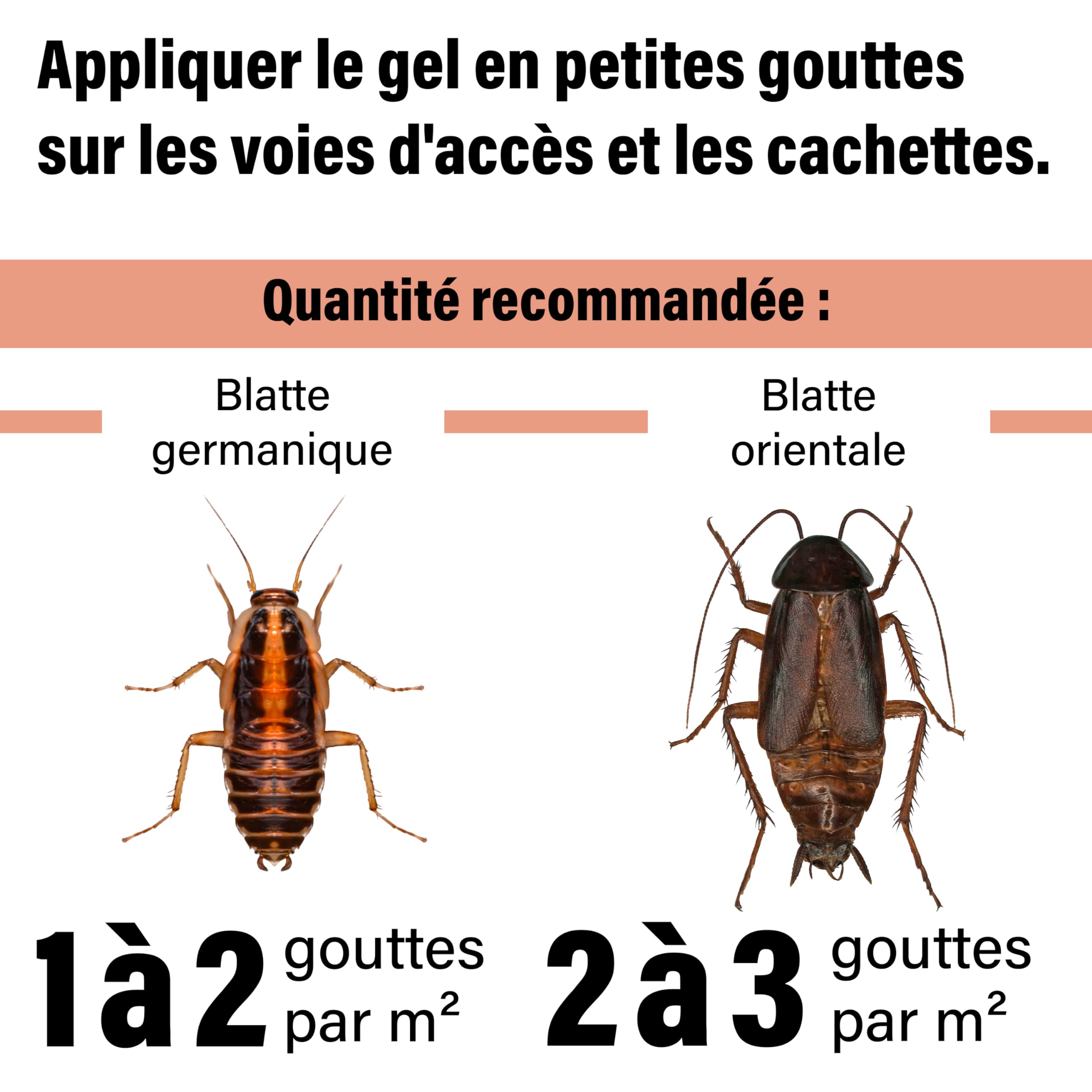 Novokill Gel Anti-Cafards | Produit Puissant Contre Blattes | Solution Professionnelle | 2 Seringues de 10g