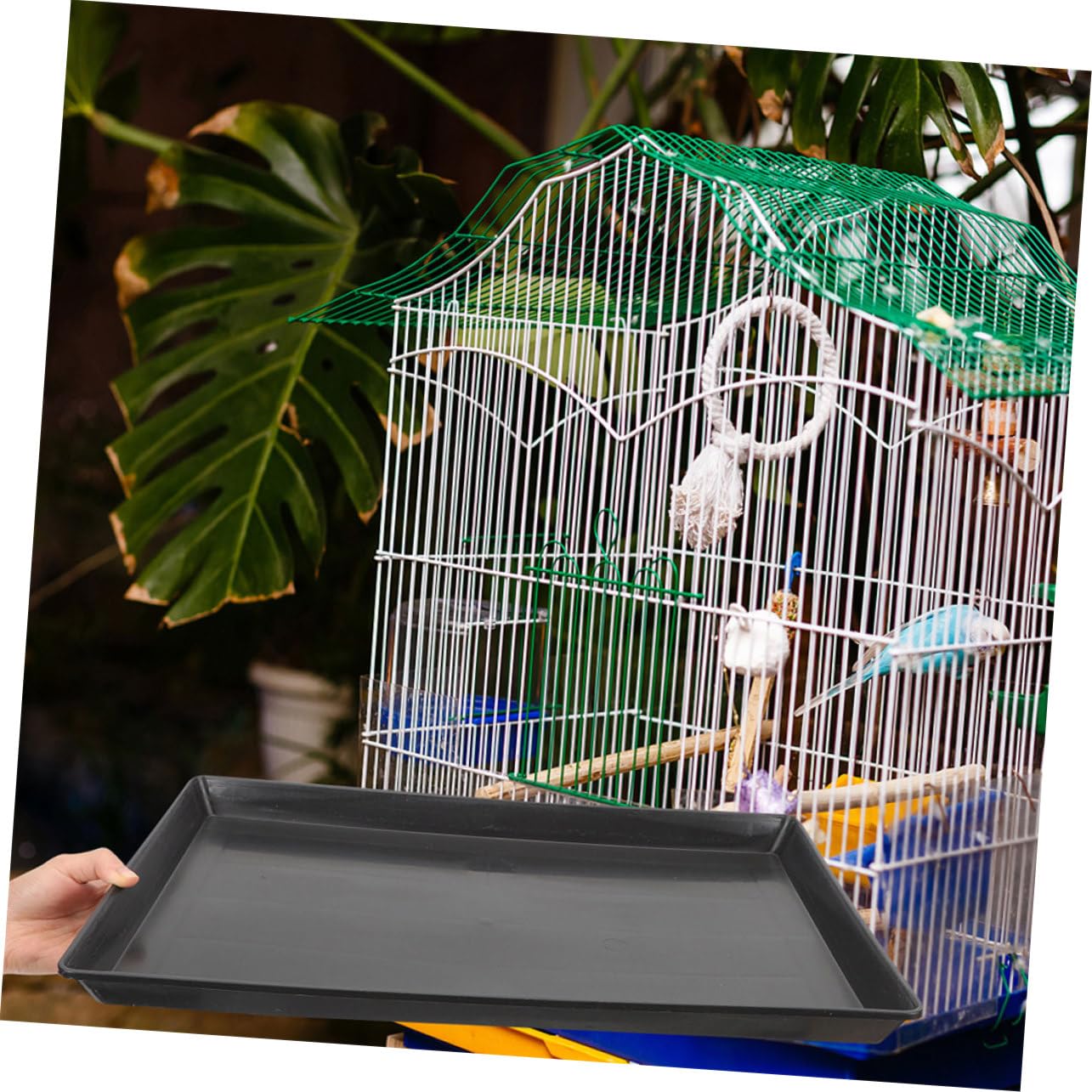 Plateau Plastique pour Cage De Chien Et Oiseau Remplacement De Fond De Cage Étanche Tray pour Animaux De Compagnie