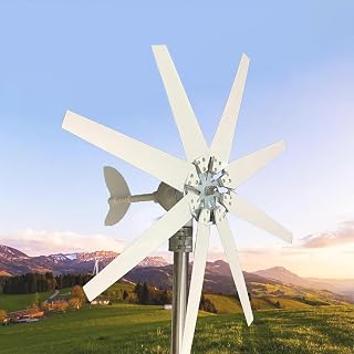 650-W-Gleichstrom-Windkraftanlage mit 8 Rotorblättern, 12-V-/24-V-/48-V-Windkraftanlage Zur Unterstützung Der Heimenergieversorgung, Lösung für Erneuerbare Energien und Effizientes Windenerg