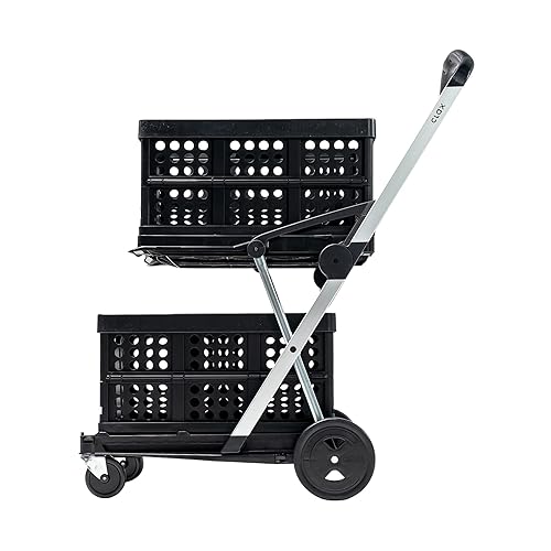 Portable Shopping Cart