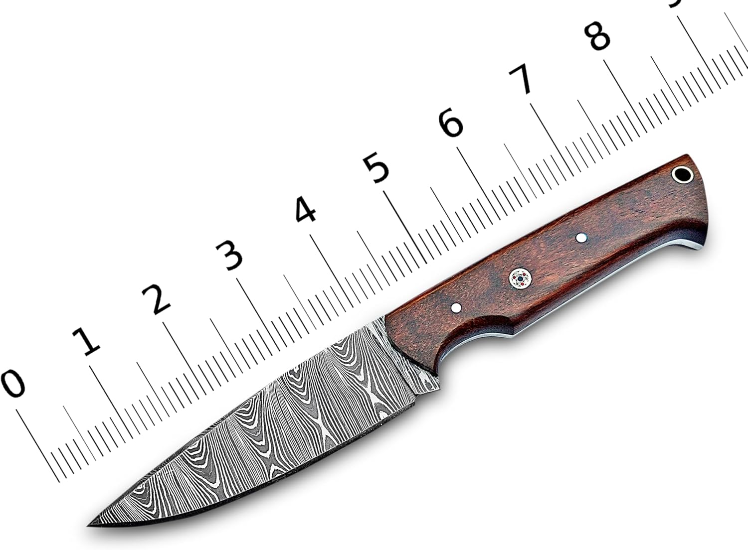Handmade Damascus Hunting Knife with Leather Sheath – EDC Fixed Blade Bushcraft Tool with Wood Handle – 8” Skinning Blade for Hunting, Skinning, Camping, and Outdoor Use